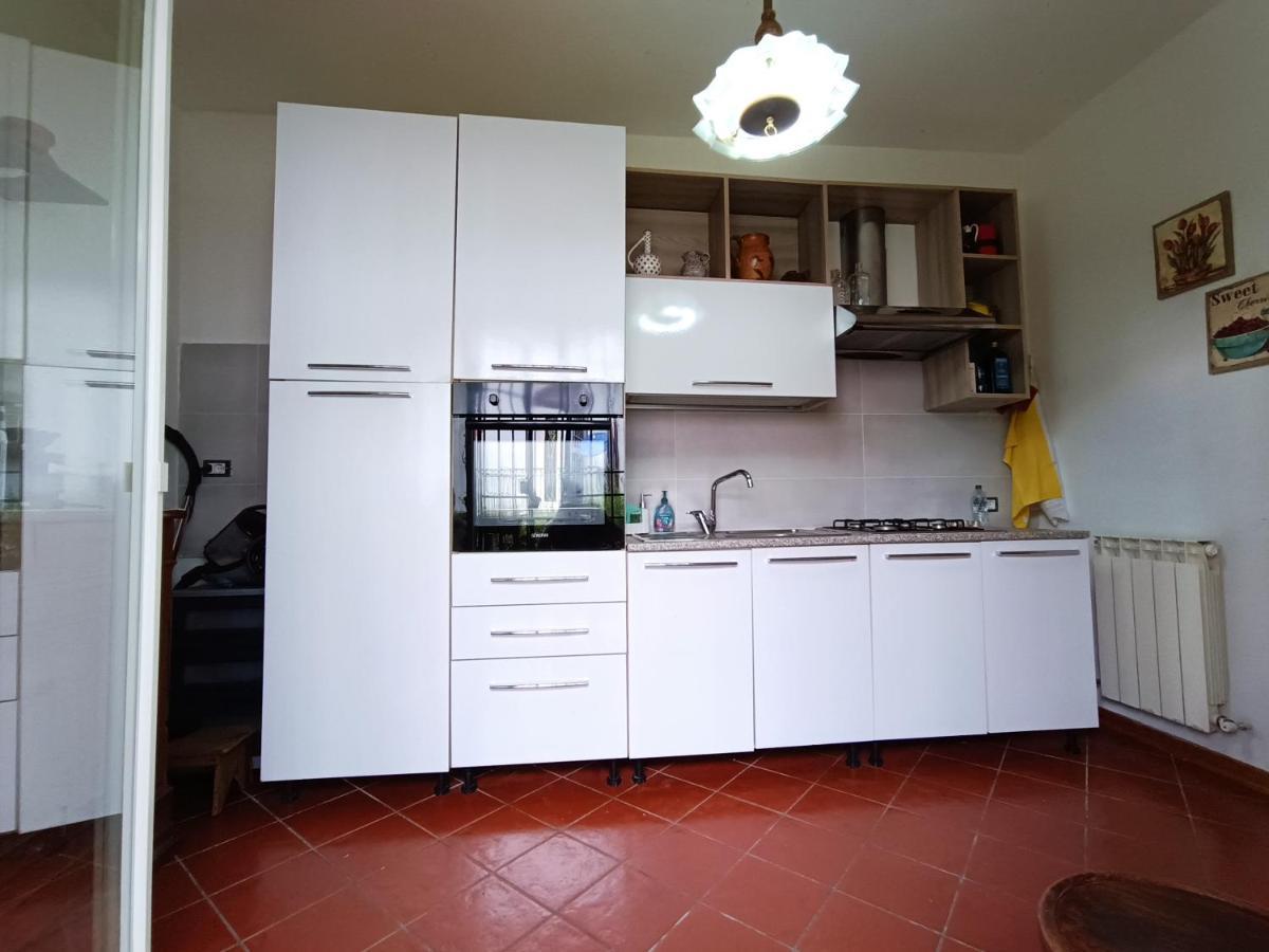 Cozy Apartment Near The City Walls Lucca Exterior foto